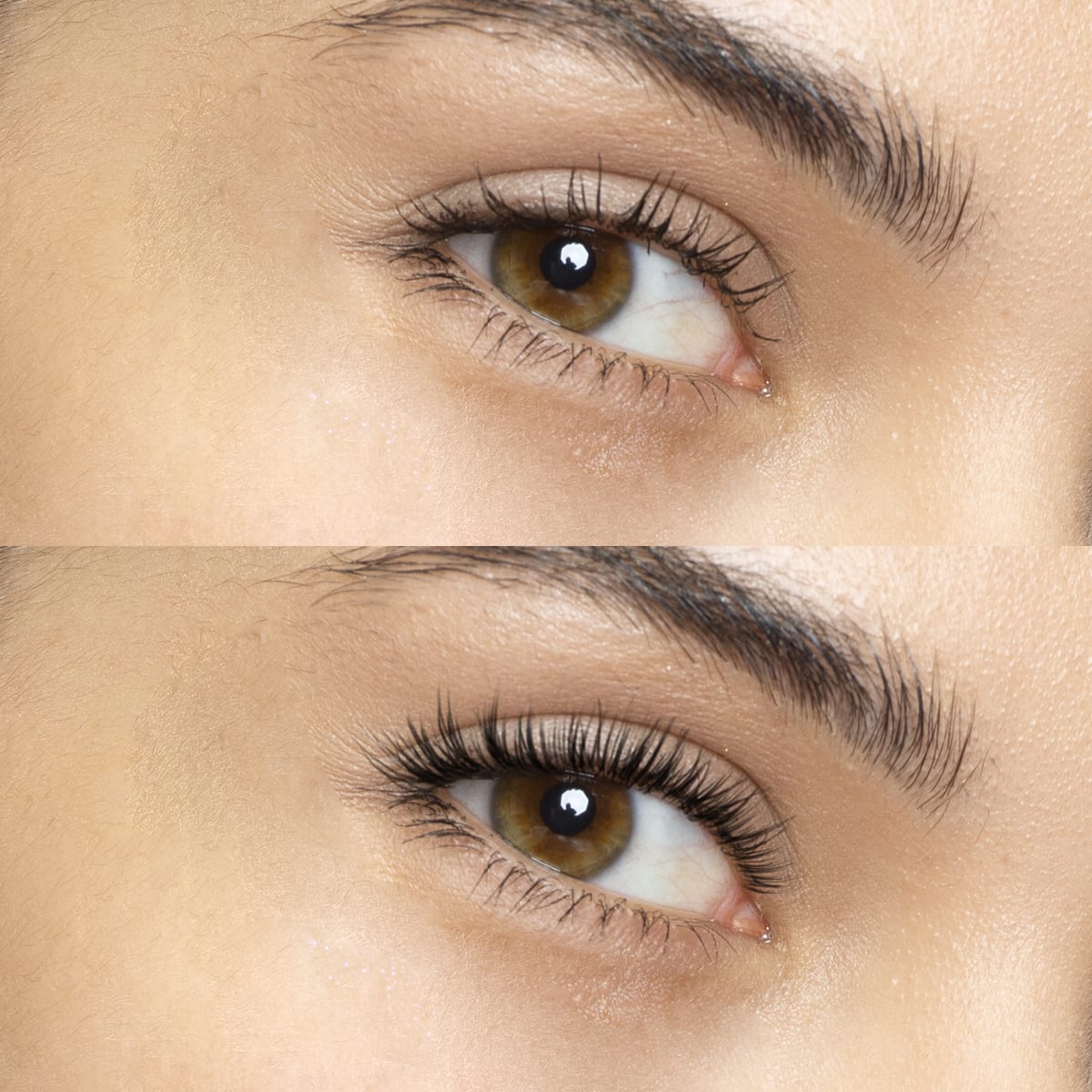 Lash extensions article illustration