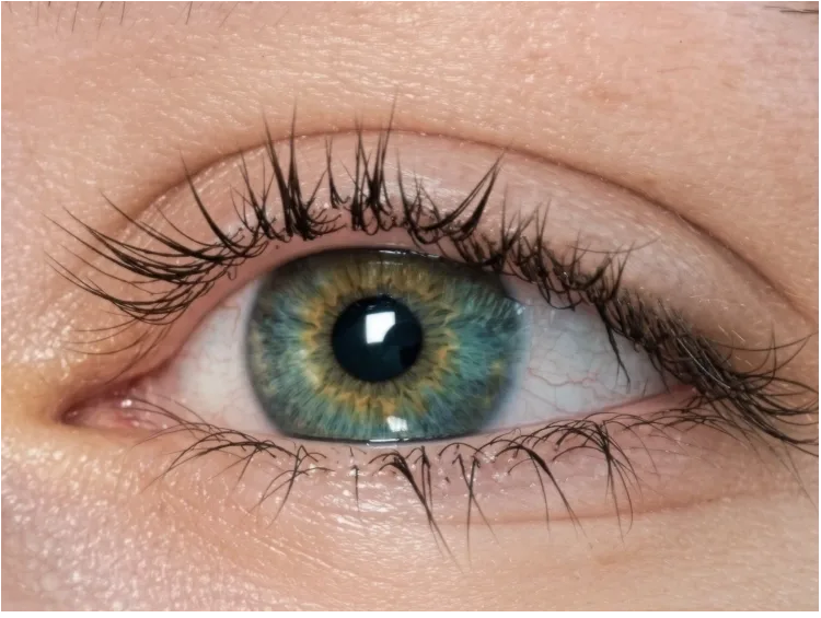 Panelist 07, baseline lash photo at week 0